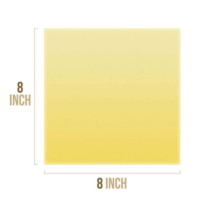 Piel de práctica grande de gel de sílice suave 8 "x 8"