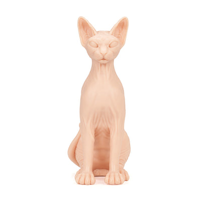Realistic Naked Cat tattooable model in life-like size