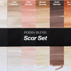 Perma Blend Pigments - Mandy Sauler Scar Set - 6 Bottles 0.5oz