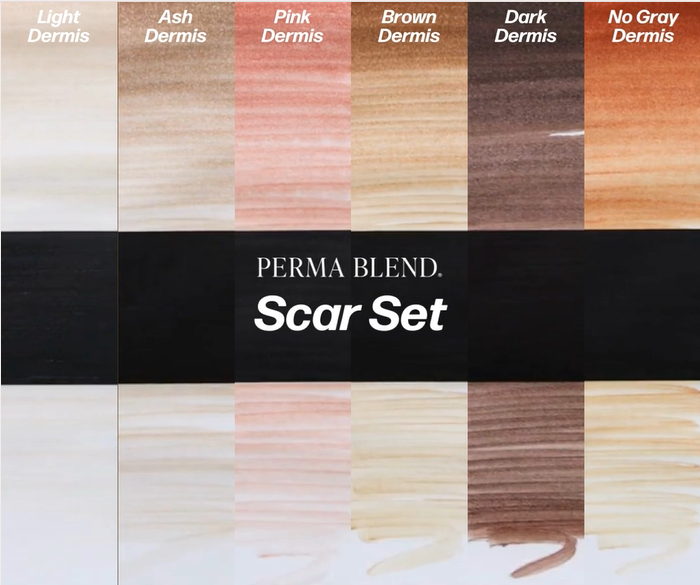 Perma Blend Pigments - Mandy Sauler Scar Set - 6 Bottles 0.5oz